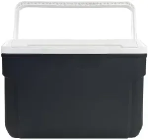 10 Quart Hard Side Cooler, 14-Can Capacity, Gray, Durable Carry Handle, Insulated for Food & Beverages, Eco-Friendly Design