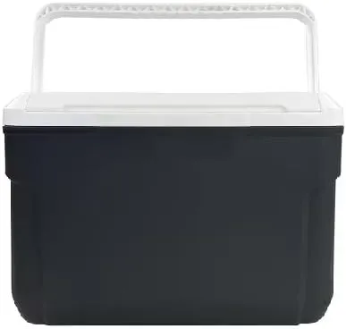 10 Quart Hard Side Cooler, 14-Can Capacity, Gray, Durable Carry Handle, Insulated for Food & Beverages, Eco-Friendly Design