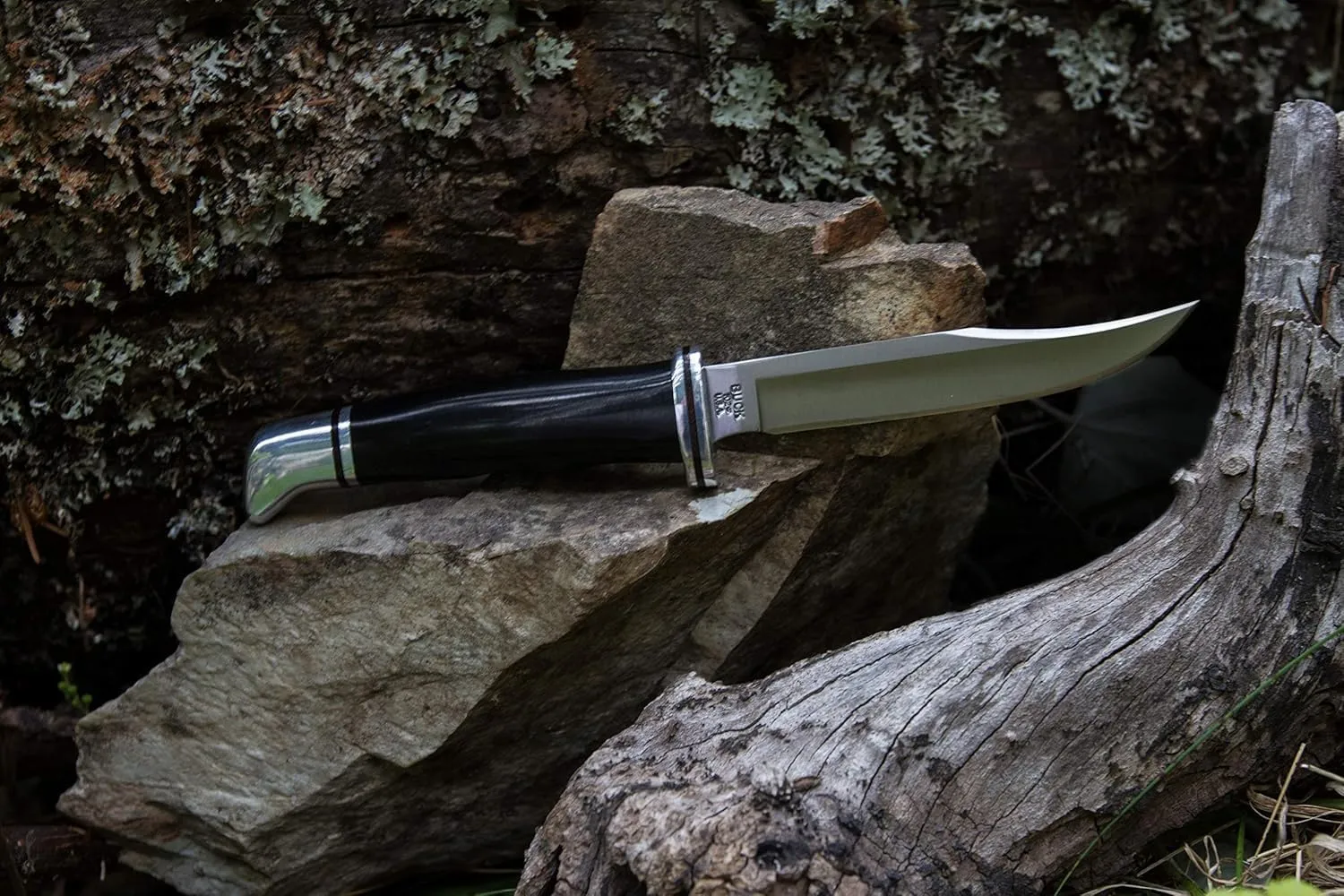 Buck Knives 102 Woodsman Fixed Blade Hunting Knife, 4" Stainless Steel Blade with Leather Sheath