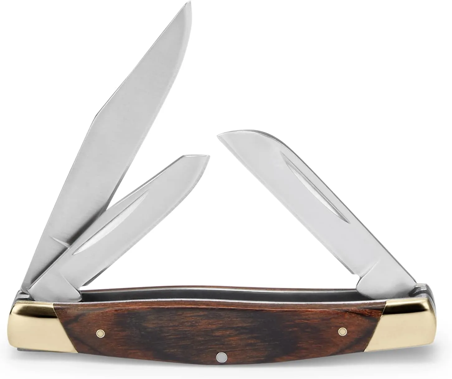 Buck Knives 373 Trio 3-Blade Folding Pocket Knife with Wood Handle