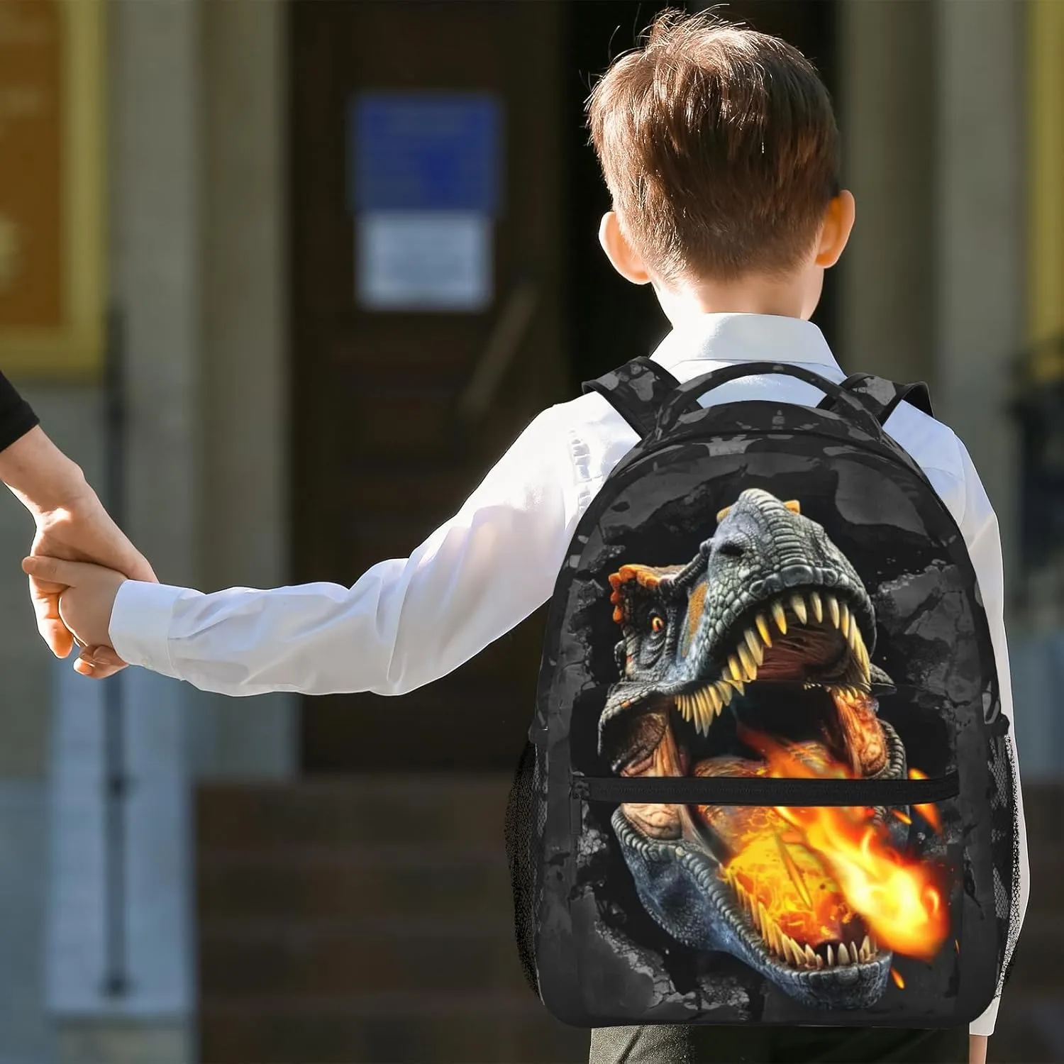 Dinosaur Backpack for Boys & Girls Fire Backpack for Kids Dinosaur Print School Bag Lightweight Waterproof Adjustable Bookbag for Children Teens Gamer Travel Daypack