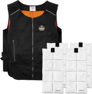 Ergodyne unisex-adult Lightweight Phase Change Cooling Vest With Rechargeable Ice Packs