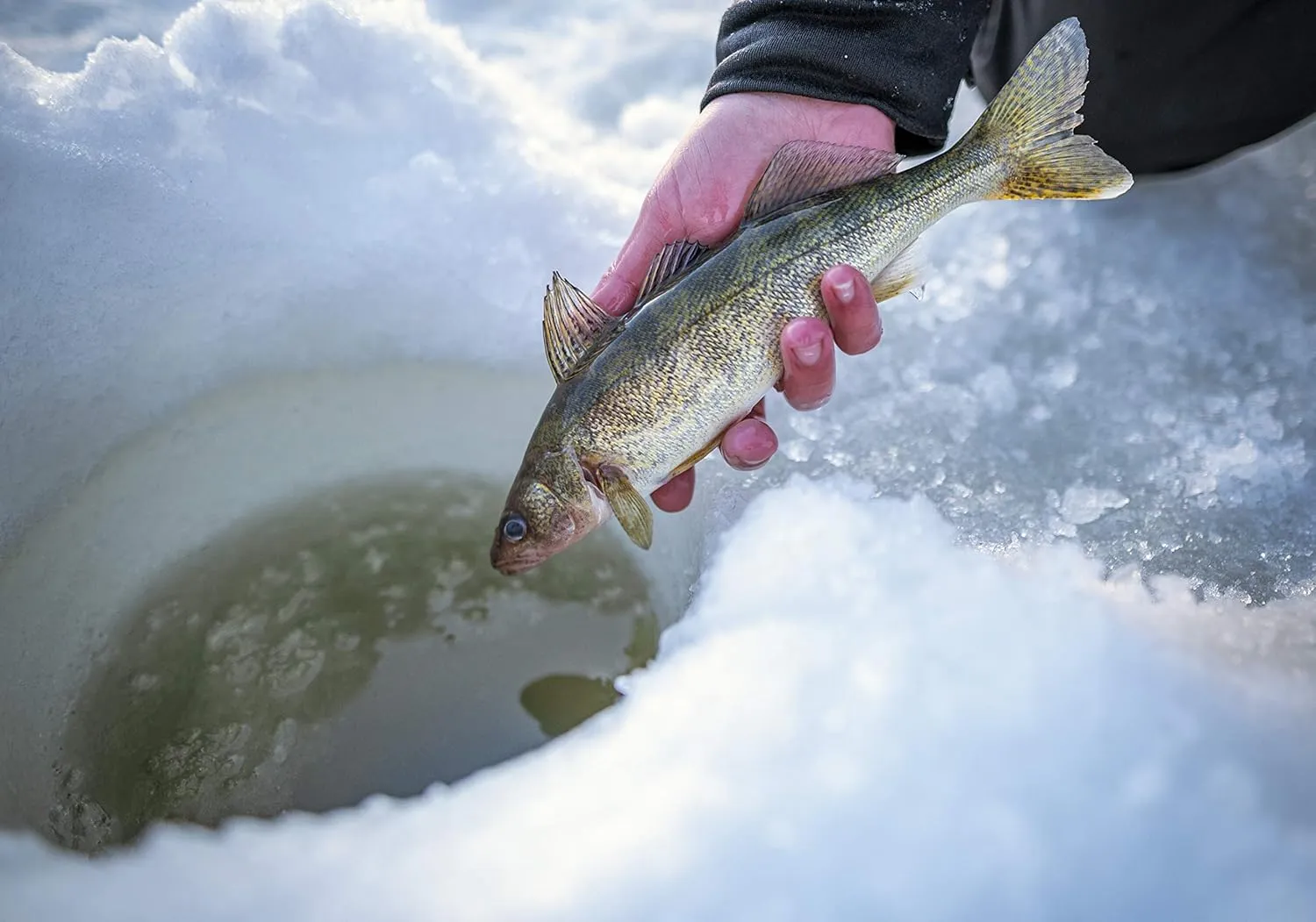 Fenwick HMG Ice Fishing Spinning Rod