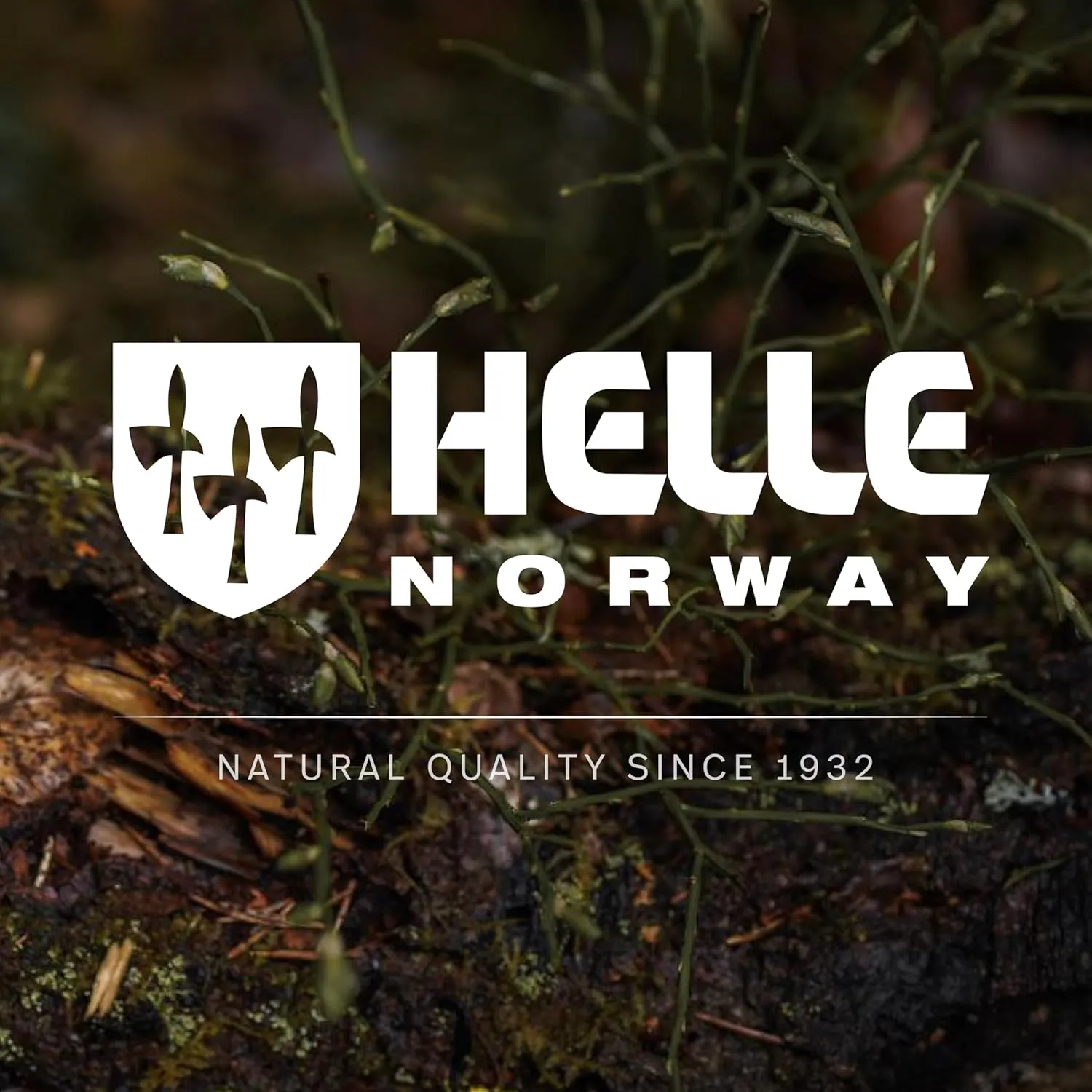 HELLE Knives - Eggen - Triple Laminated Stainless Steel, Outdoor Adventure Camping Knife with Sheath, Stick Tang Fixed Blade, Curly Birch Handle, Made in Norway