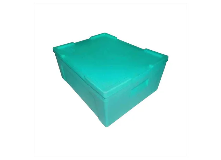 Ice Box - 24 Litre