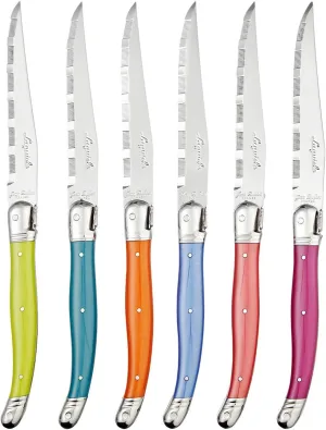 Jean Dubost Laguiole Stainless Steel Steak Knife Set with Multi Color Handles in a Wood Knife Block