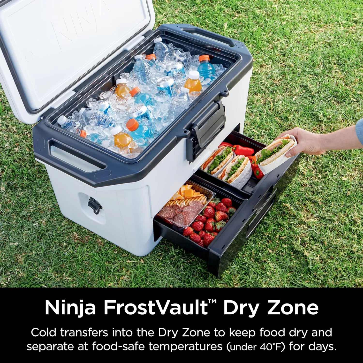 Ninja FB151WH FrostVault 50qt Hard Cooler with Dry Zone, Integrated Fridge-Temp Dry Storage Drawer, Premium Heavy-Duty Insulated Cooler, Keeps Ice for Days, Cloud White