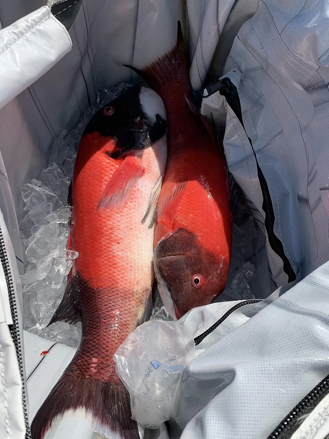 Opah Gear Fathom 3 Insulated Fish Kill Cooler Bag for Rockfish, 32" L x 12" W x 18" H, Heavy Duty, Marine-Grade Vinyl, UV Resistant, Camping & Fishing