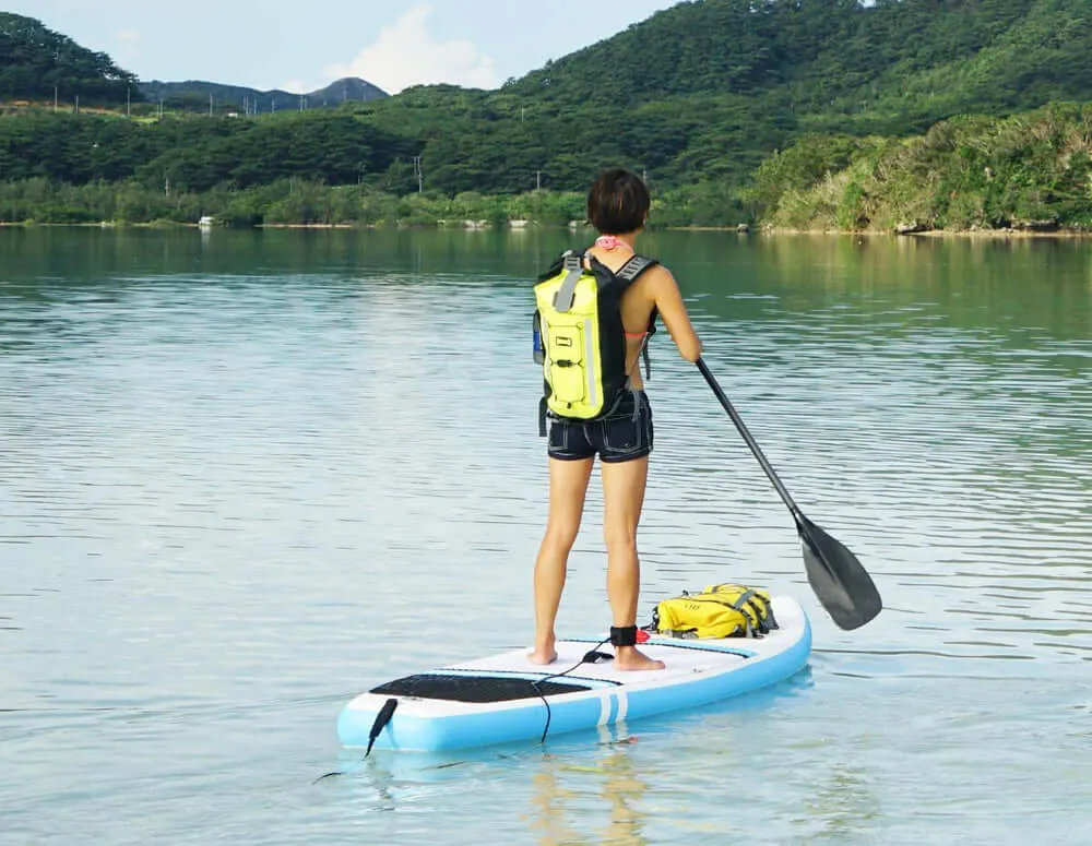 Pro-Vis Waterproof Backpack - 20L