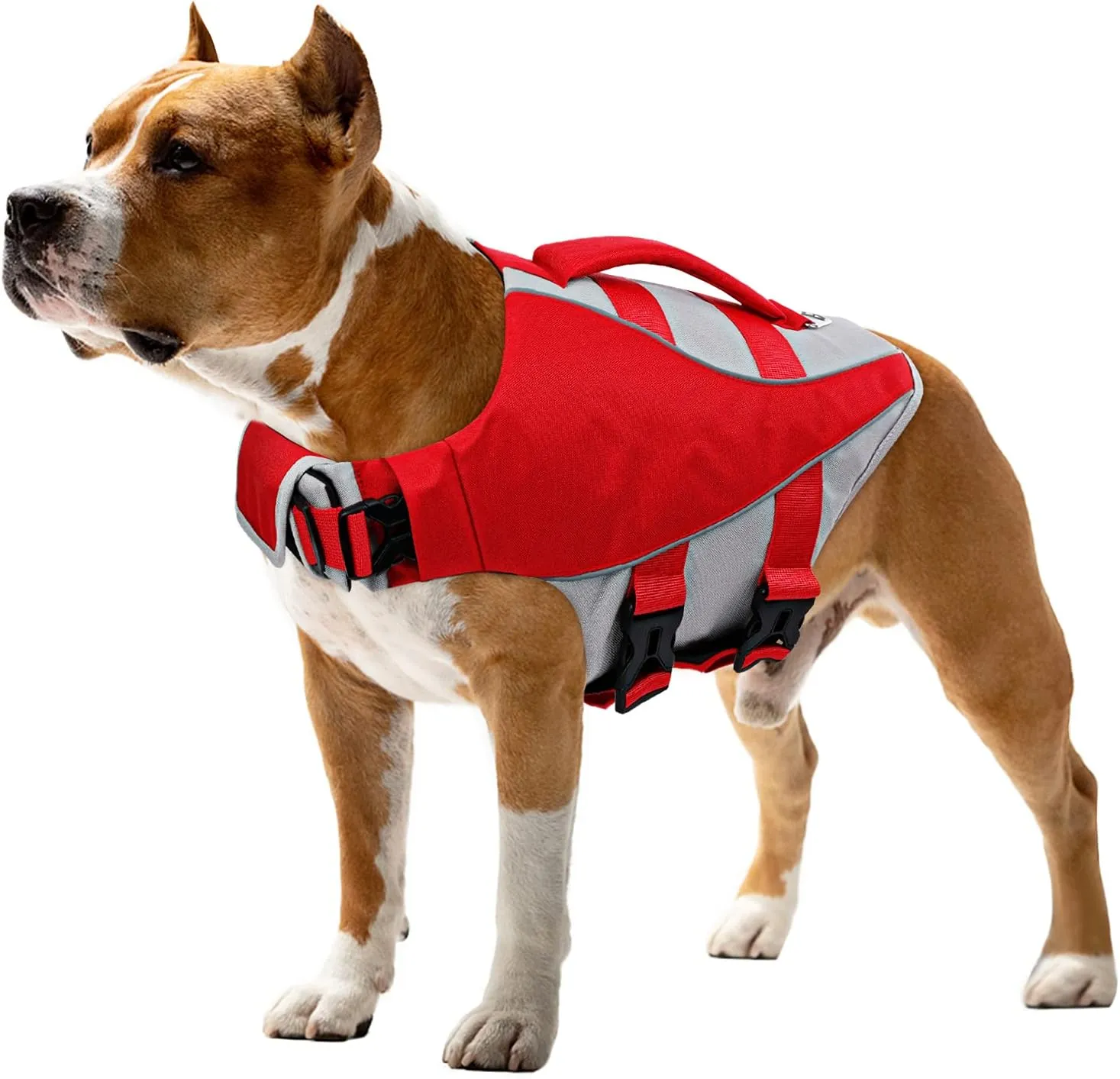 Queenmore Dog Life Jacket,Life Vest for Large Medium Small Dogs,Adjustable Reflective Dog Swimming Vest,High Buoyancy Dog Lifesaver,Pet Life Preserver (Red,Small)