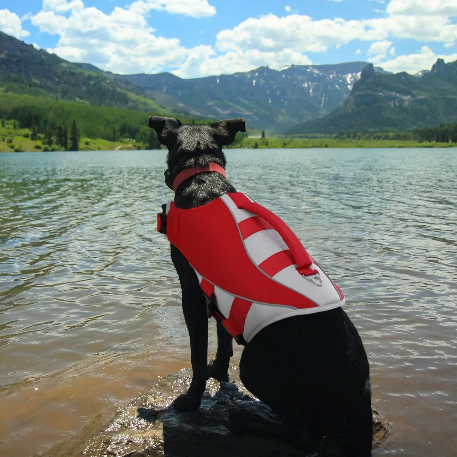 Queenmore Dog Life Jacket,Life Vest for Large Medium Small Dogs,Adjustable Reflective Dog Swimming Vest,High Buoyancy Dog Lifesaver,Pet Life Preserver (Red,Small)