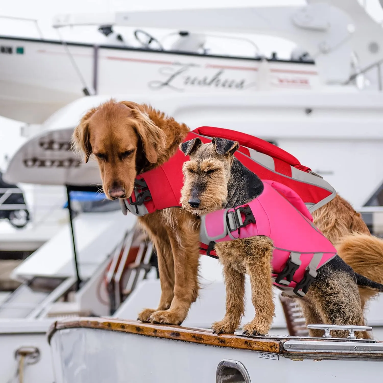 Queenmore Dog Life Jacket,Life Vest for Large Medium Small Dogs,Adjustable Reflective Dog Swimming Vest,High Buoyancy Dog Lifesaver,Pet Life Preserver (Red,Small)