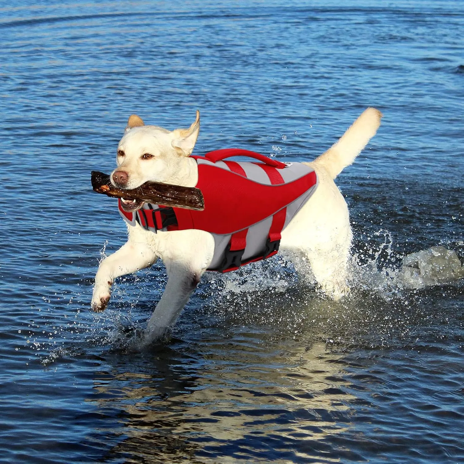 Queenmore Dog Life Jacket,Life Vest for Large Medium Small Dogs,Adjustable Reflective Dog Swimming Vest,High Buoyancy Dog Lifesaver,Pet Life Preserver (Red,Small)