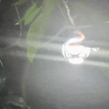 Solar Soccer LED Folding Light