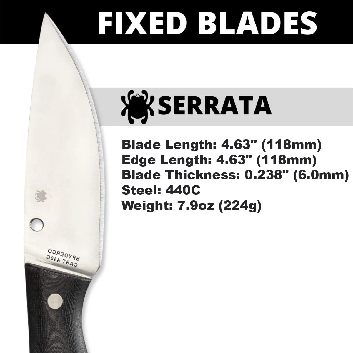 Spyderco FB32GP Serrata Black G-10 Handle PlainEdge Fixed Blade Knife