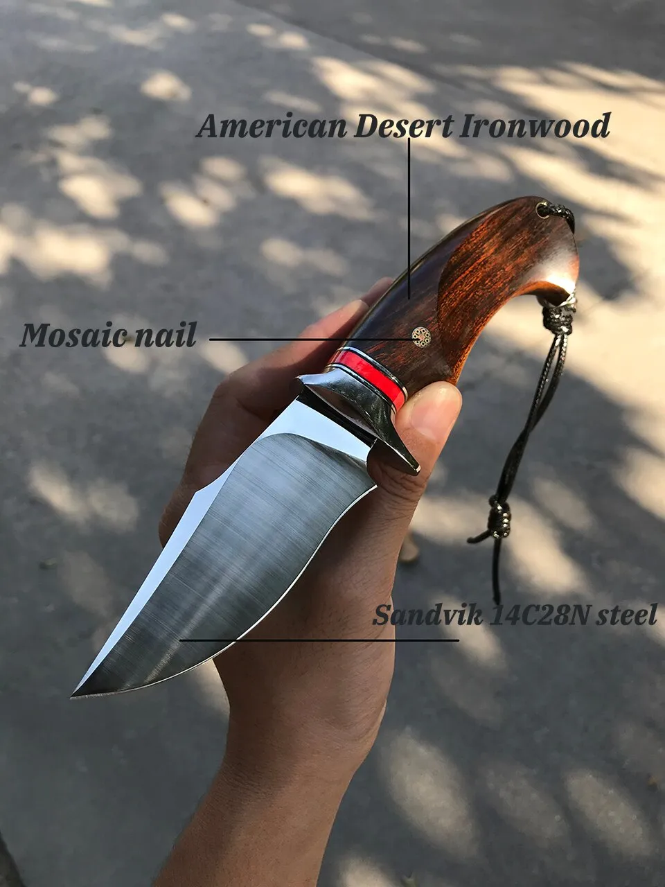 Trail Finder Fixed Blade Knife