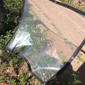 ZHANGQINGXIU Transparent Tarps Tarpaulin with Eyelets Waterproof Heavy Duty Weatherproof Winter Antifreeze Thicken PVC Soft Film Ripstop, 41 Sizes (Color : Clear, Size : 1.2x1.6m)