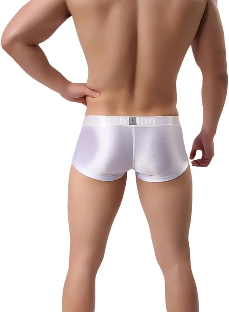 ZONBAILON Mens Sexy Ice Silk Boxer Briefs Underwear Low Rise Bulge Enhancing Pouch Trunks Pack M L XL 2XL 3XL